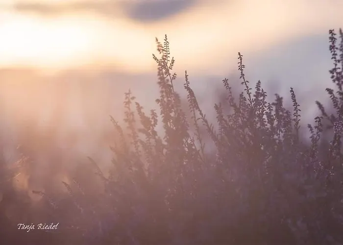 Strandhaus 2, Mit Garten, 250 Meter Zum Tatil Evi *